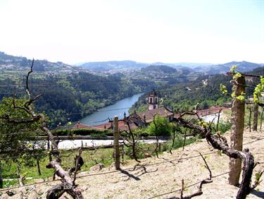 Excursion along the Rio Douro, Portugal 2009, DSC01483b_B740